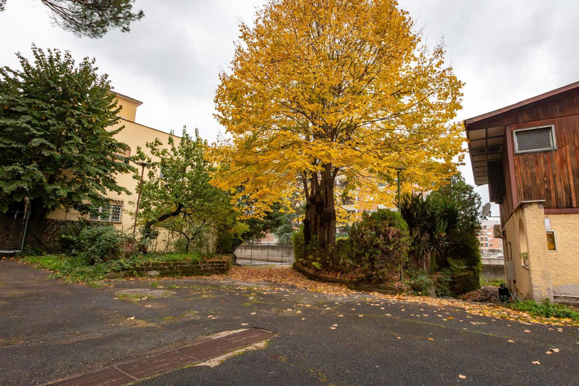 Ah Roma Hostel - Rome — Photos 2